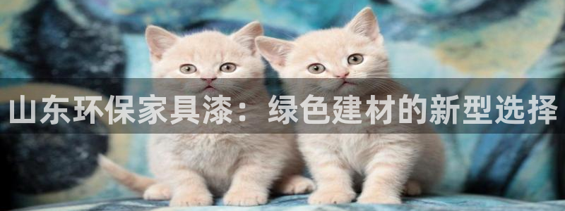 意昂5(KGAME)平台测：山东环保家具漆：绿色建材的新型选