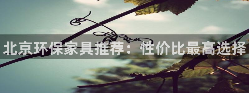 意昂5(KGAME)登陆：北京环保家具推荐：性价比最高选择