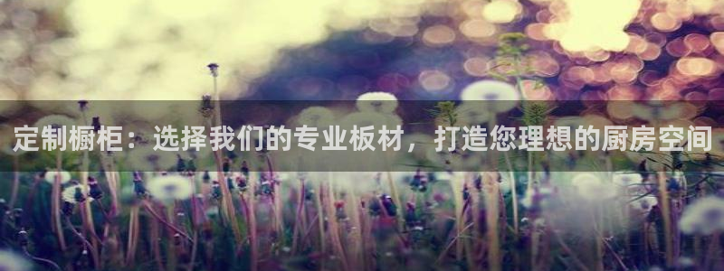 意昂5(KGAME)平台登陆测速