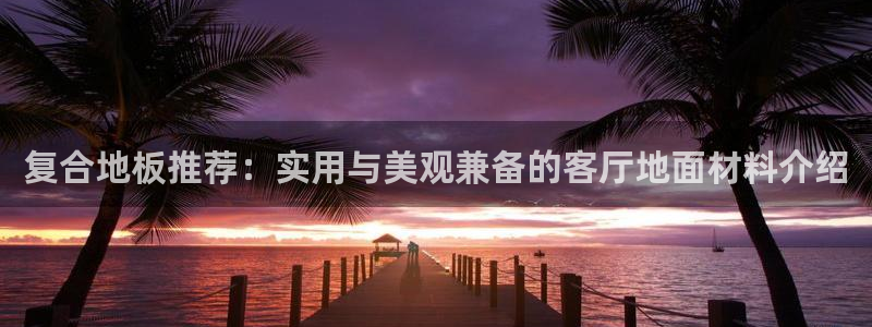 意昂5(KGAME)登陆：复合地板推荐：实用与美观兼备的客厅