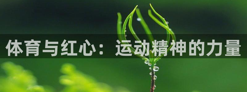 vsport体育在线官网：体育与红心：运动精神的力量