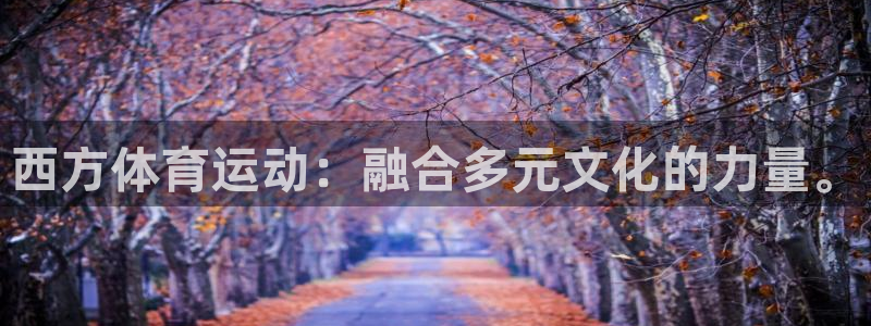 vsport体育在线官网：西方体育运动：融合多元文化的力量。