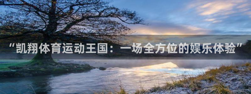vsport体育：“凯翔体育运动王国：一场全方位的娱乐体验”