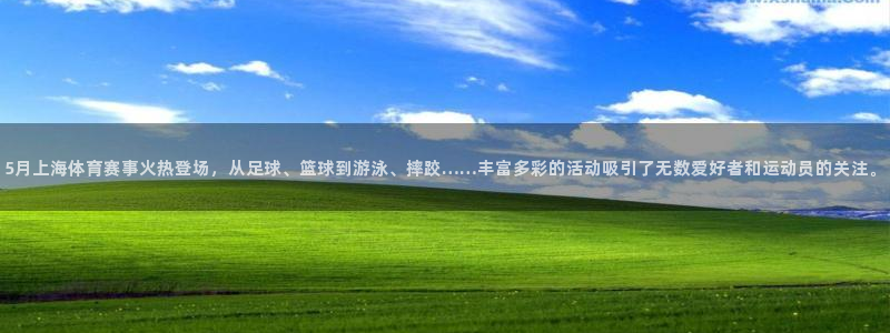 vsport体育在线官网：5月上海体育赛事火热登场，从足球、篮球到游泳、摔跤……丰富多彩的活动吸引了无数爱好者和运动员的关注。