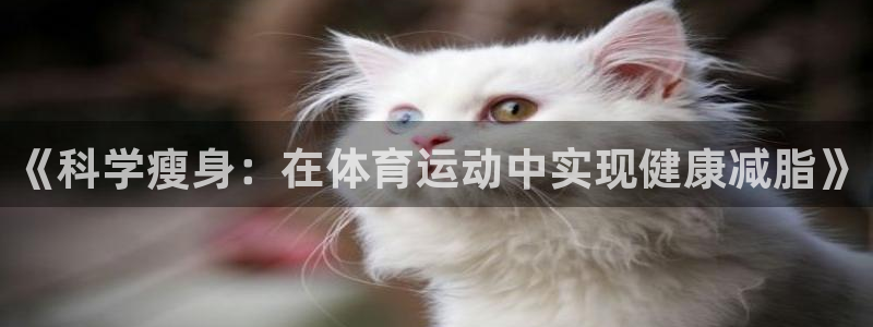 vsport体育：《科学瘦身：在体育运动中实现健康减脂》