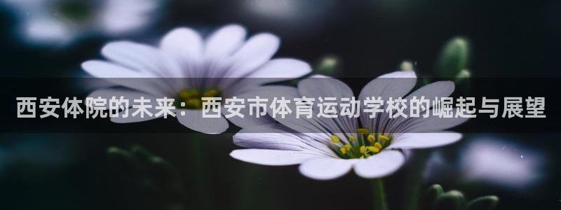 vsport体育在线官网：西安体院的未来：西安市体育运动学校的崛起与展望