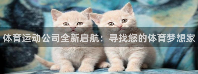 vsport体育在线官网：体育运动公司全新启航：寻找您的体育梦想家