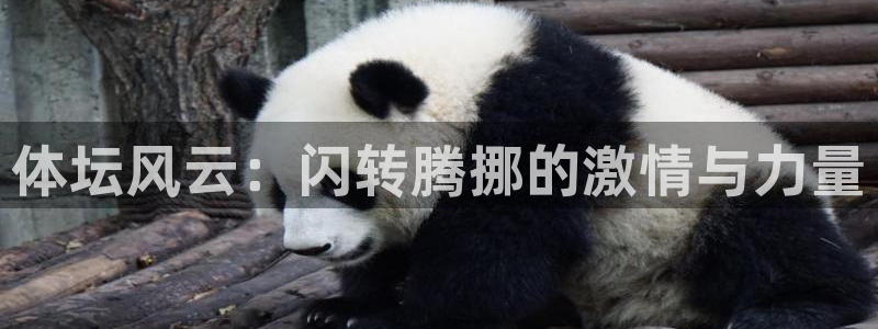 vsport体育在线官网：体坛风云：闪转腾挪的激情与力量