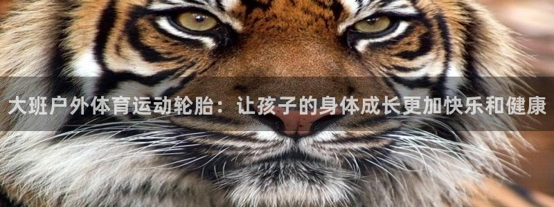 vsport体育在线官网：大班户外体育运动轮胎：让孩子的身体成长更加快乐和健康
