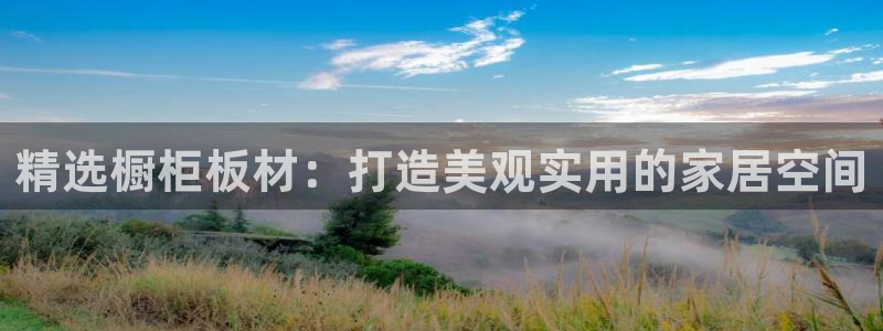 意昂5(KGAME)平台一安全注册入口：精选橱柜板材：打造美